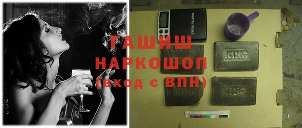 дживик Инта