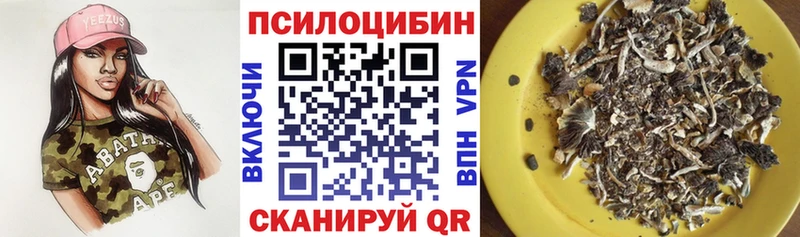 Псилоцибиновые грибы Magic Shrooms  Ленинск 